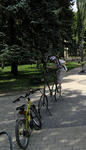 I want to ride my bicycle